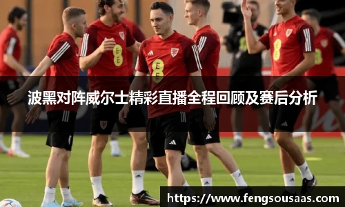 波黑对阵威尔士精彩直播全程回顾及赛后分析